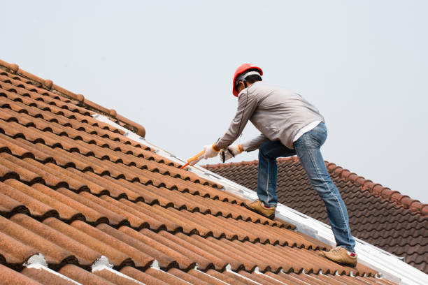 Best Roof Leak Repair  in Sunbury, PA